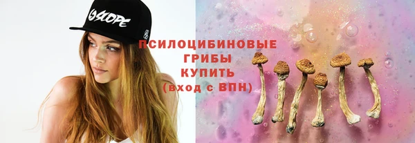 СК Горнозаводск