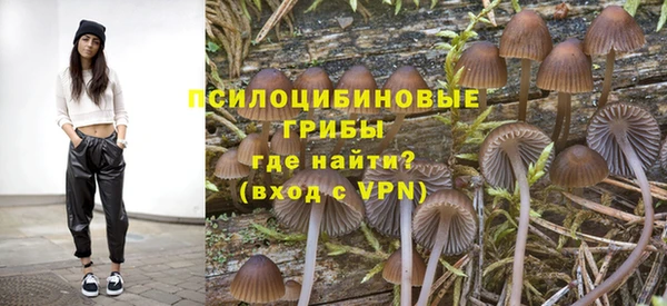 СК Горнозаводск