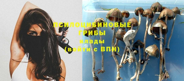 трава Горно-Алтайск